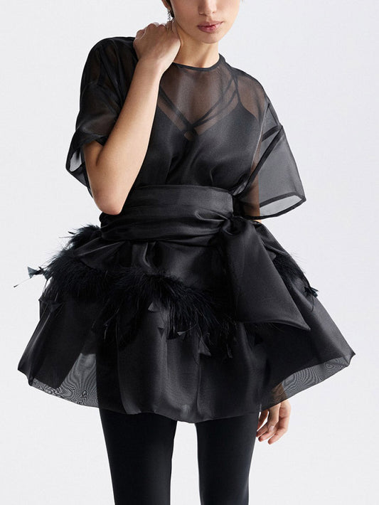 Elegant Feather Organza Top Two-Piece Set