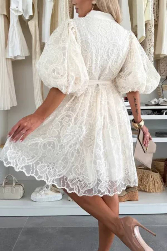 Summer Romance Embroidery Lace Puff Sleeve Button Tie-up Mini Dress