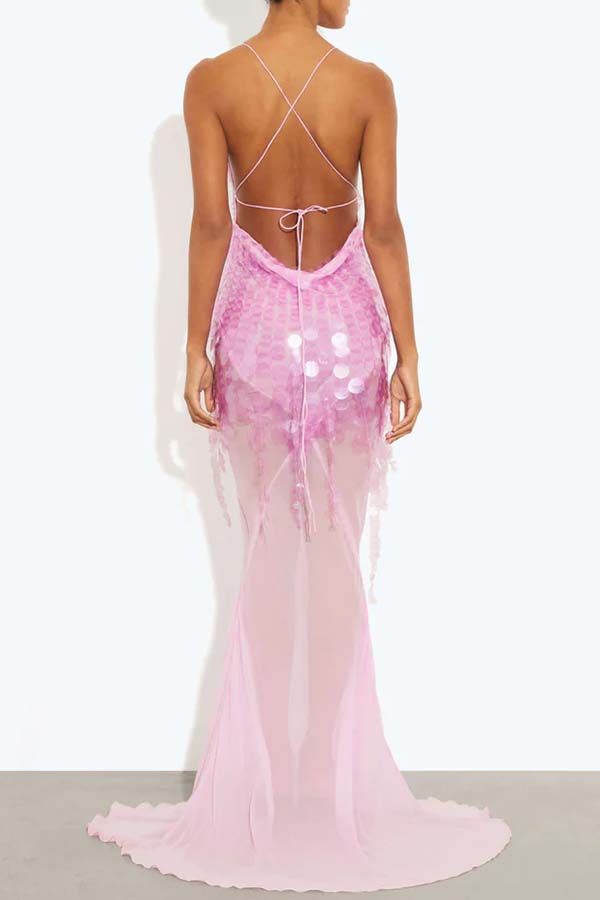 Perfect Night Sequin Embroidery Backless Drape Tulle Hem Slip Maxi Dress