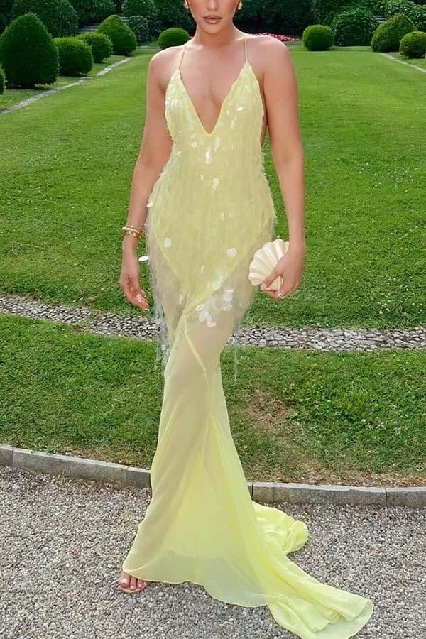 Perfect Night Sequin Embroidery Backless Drape Tulle Hem Slip Maxi Dress