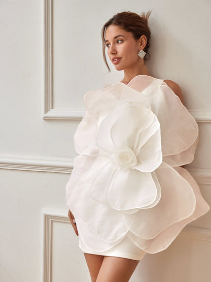 Stylish Banquet Mini Dress Women