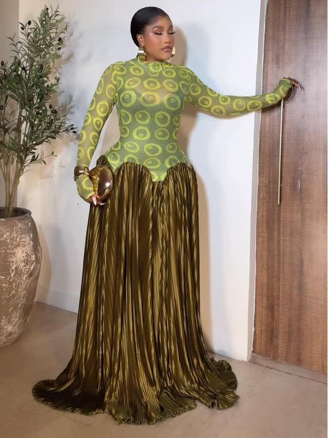 Mesh Panel Retro Pleated Maxi Dress