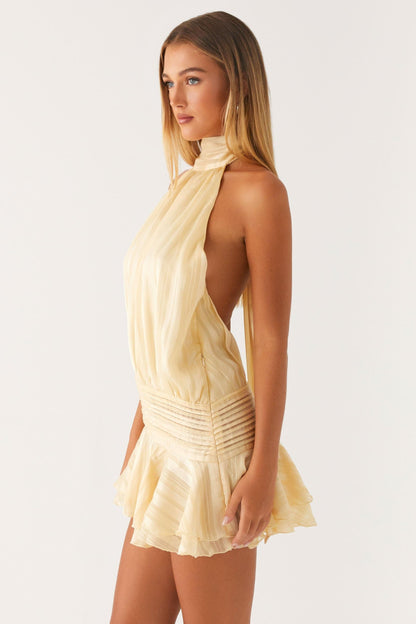 Willow Chiffon Mini Dress