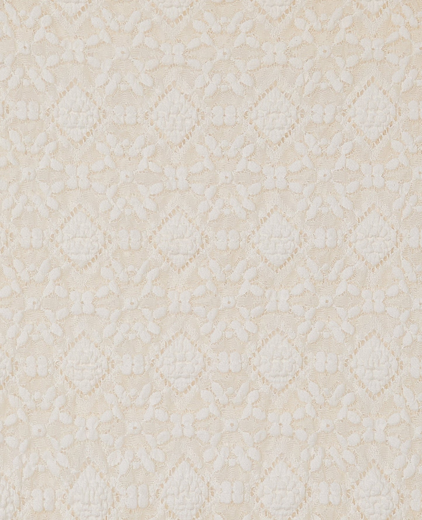 Lace Maxi Skirt | Sheer Overlay and Straight Silhouette