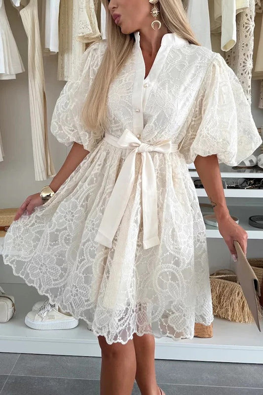 Summer Romance Embroidery Lace Puff Sleeve Button Tie-up Mini Dress