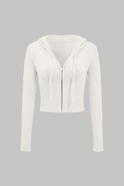 Solid Knit Hooded Top And Asymmetrical Pants Set