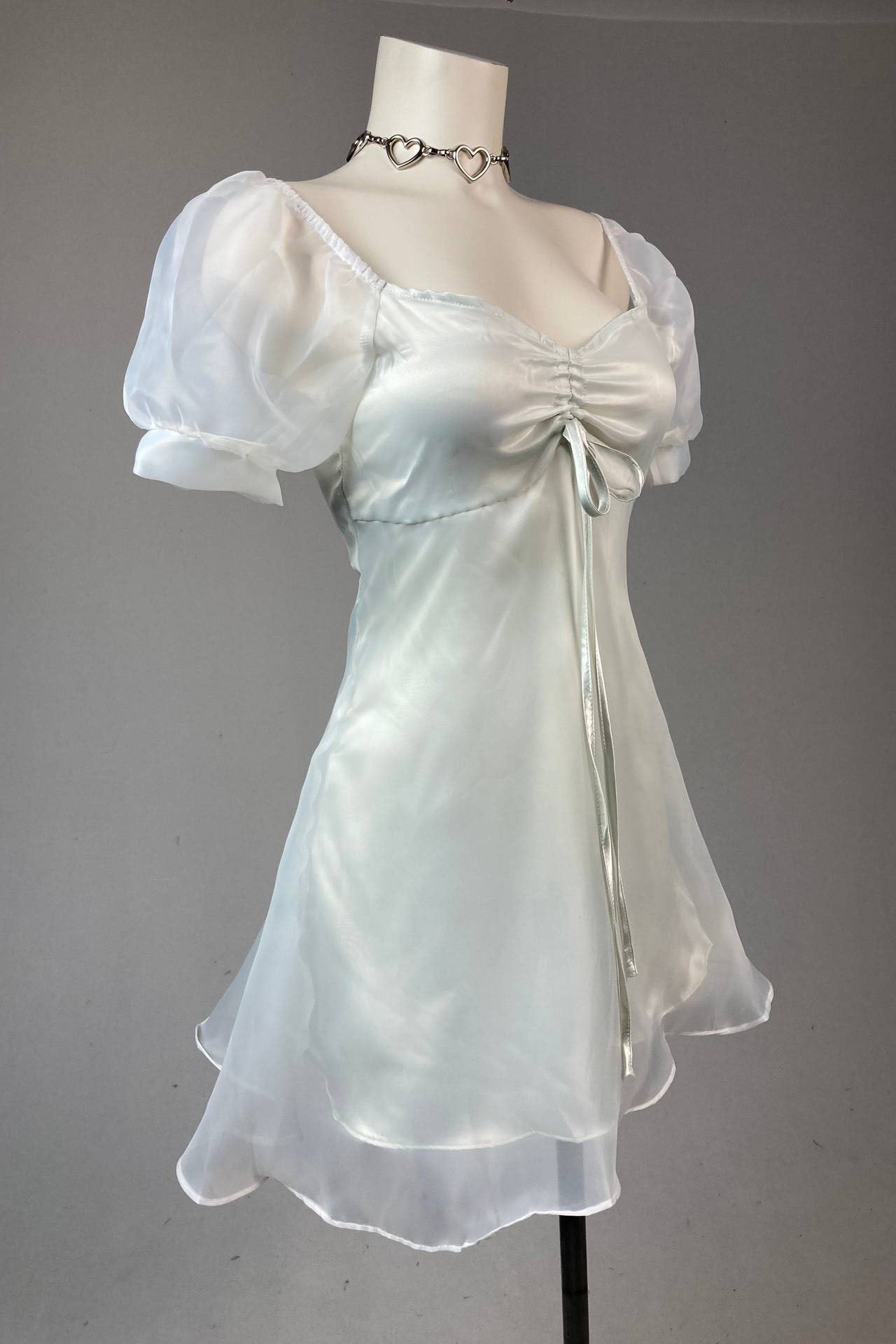 Puff - Sleeve Sheer Princess Dress