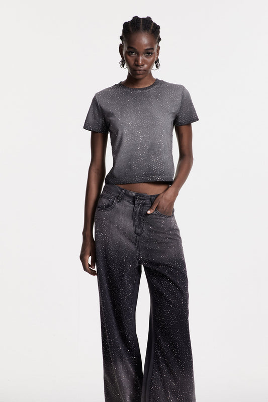 Chobin Rhinestone T Shirt In Grey