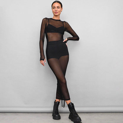 round Neck Long Sleeve Mesh Pleating Adjustable Long Short Blouse Dress