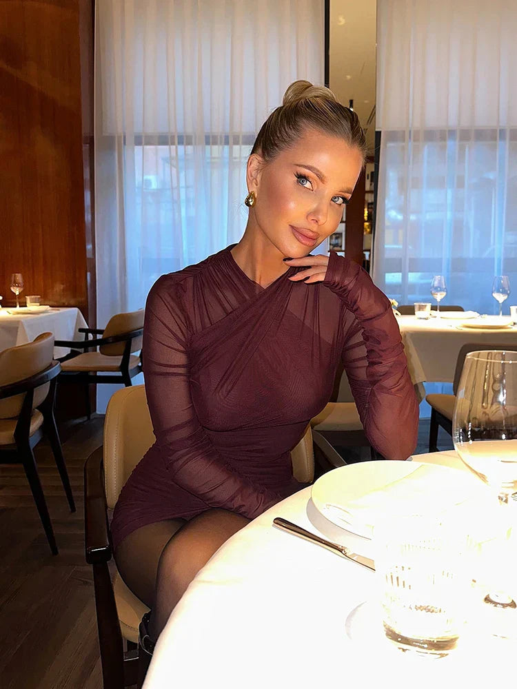 Mesh Solid Long Sleeves Folds Mini Dress