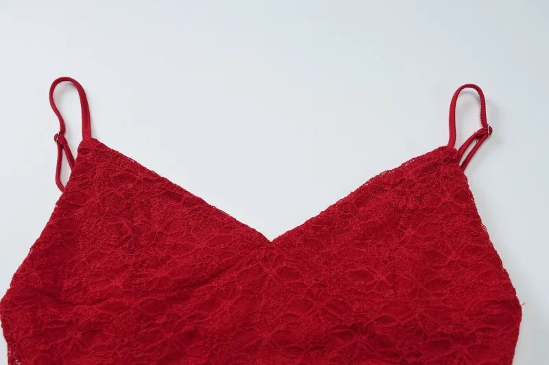 Lace Long Sleeve Backless Mini Dress